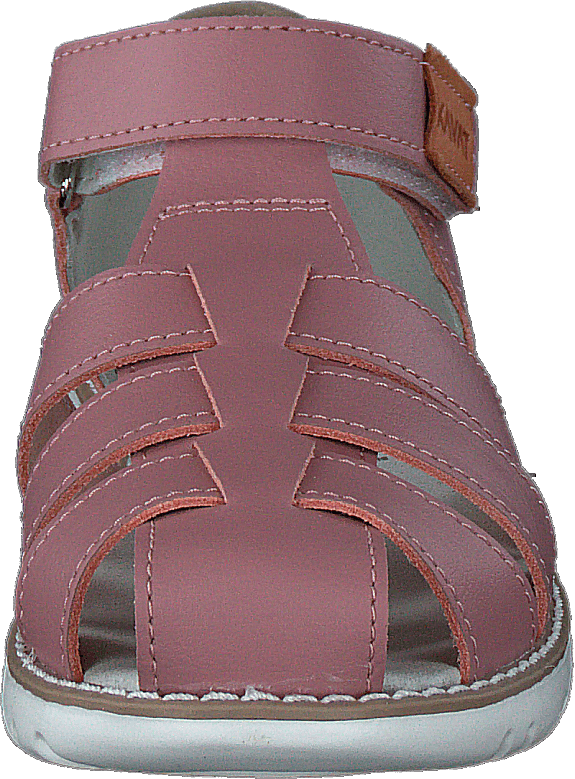 Hällevik Xc Ash Rose - Bild 4