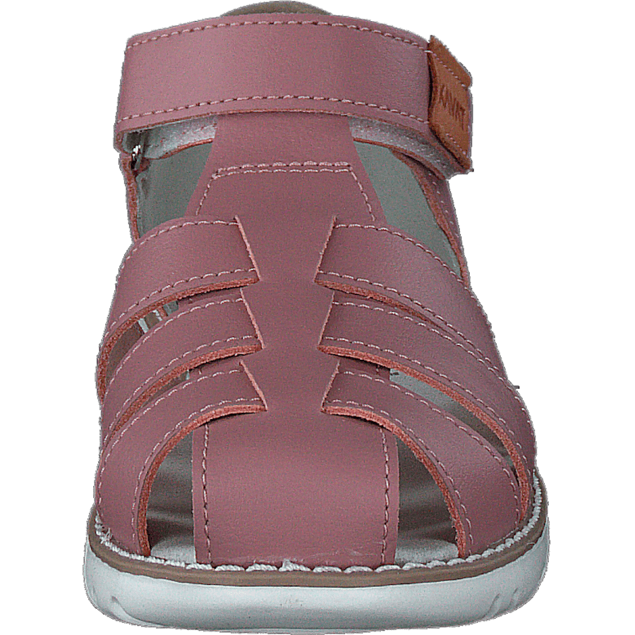 Hällevik Xc Ash Rose - Bild 4