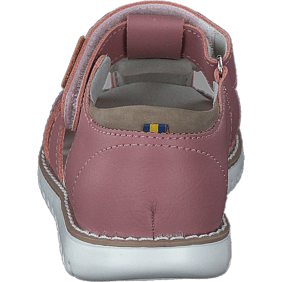 Hällevik Xc Ash Rose - Bild 5