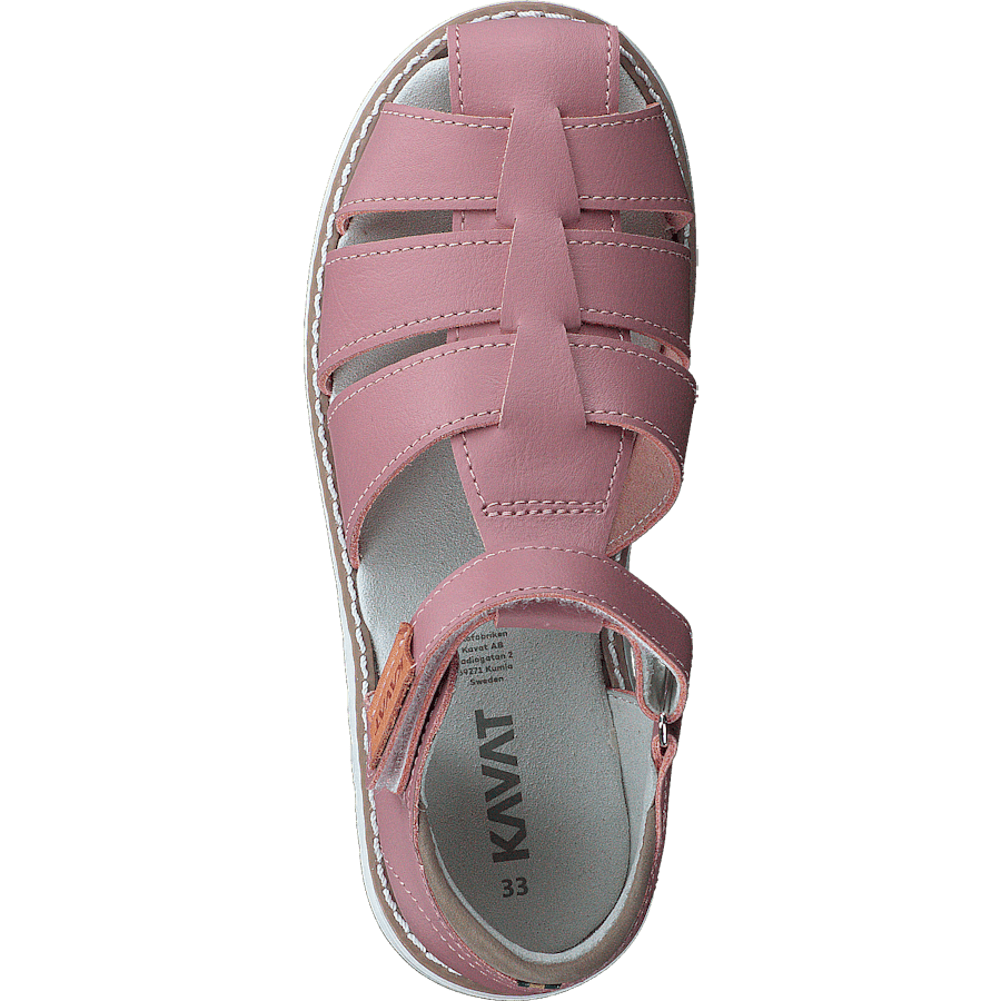 Hällevik Xc Ash Rose - Bild 6