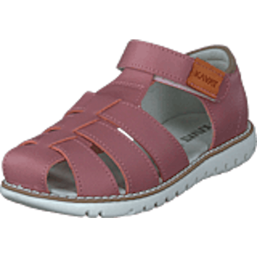 Hällevik Xc Ash Rose - Bild 9