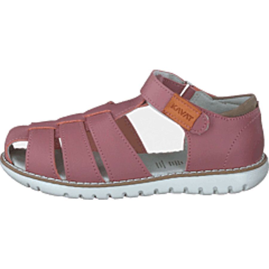 Hällevik Xc Ash Rose - Bild 10