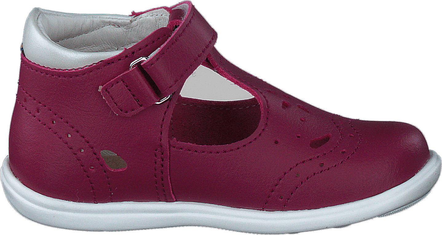 Ängskär Xc Peony - Bild 2