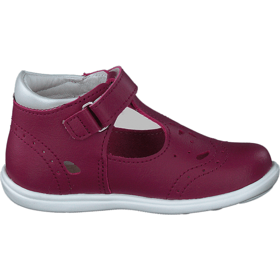 Ängskär Xc Peony - Bild 2