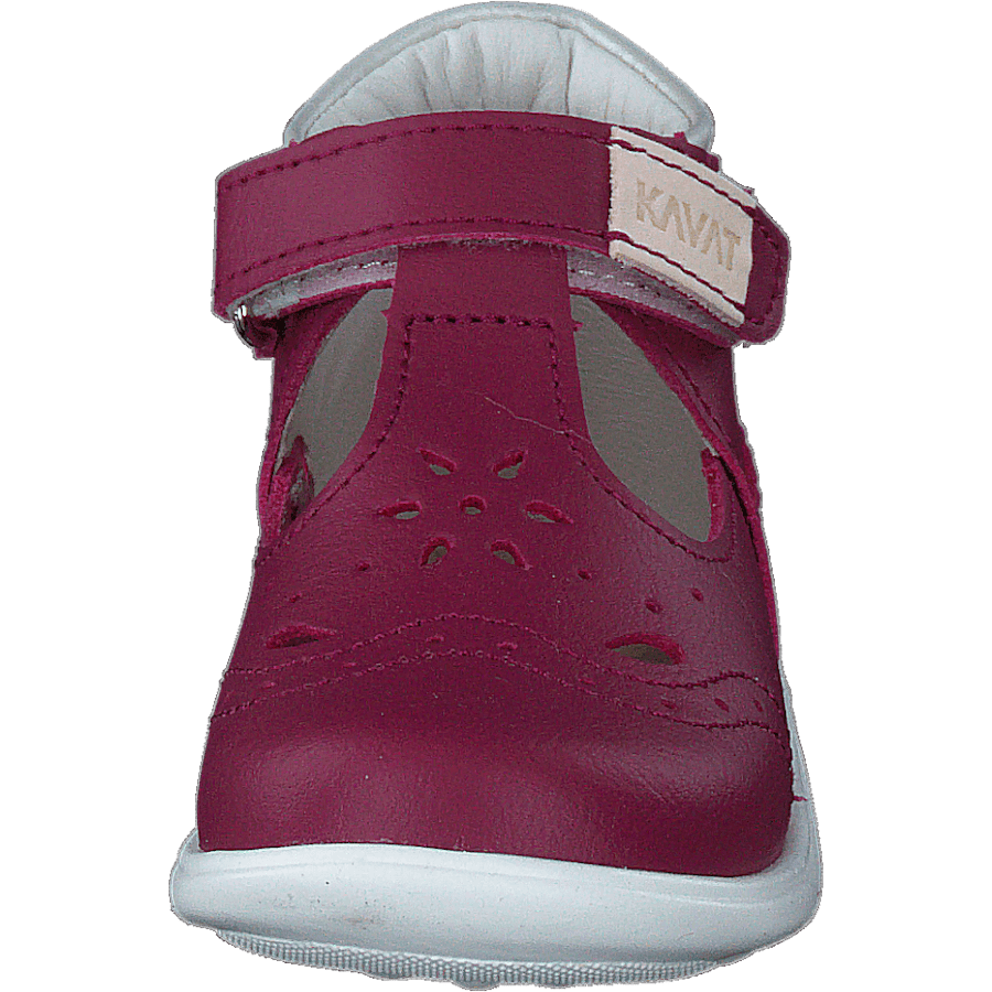 Ängskär Xc Peony - Bild 4