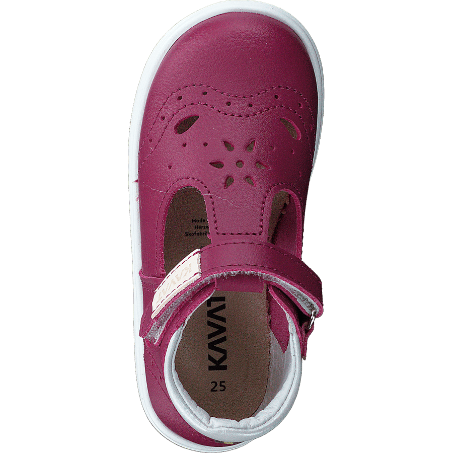 Ängskär Xc Peony - Bild 6