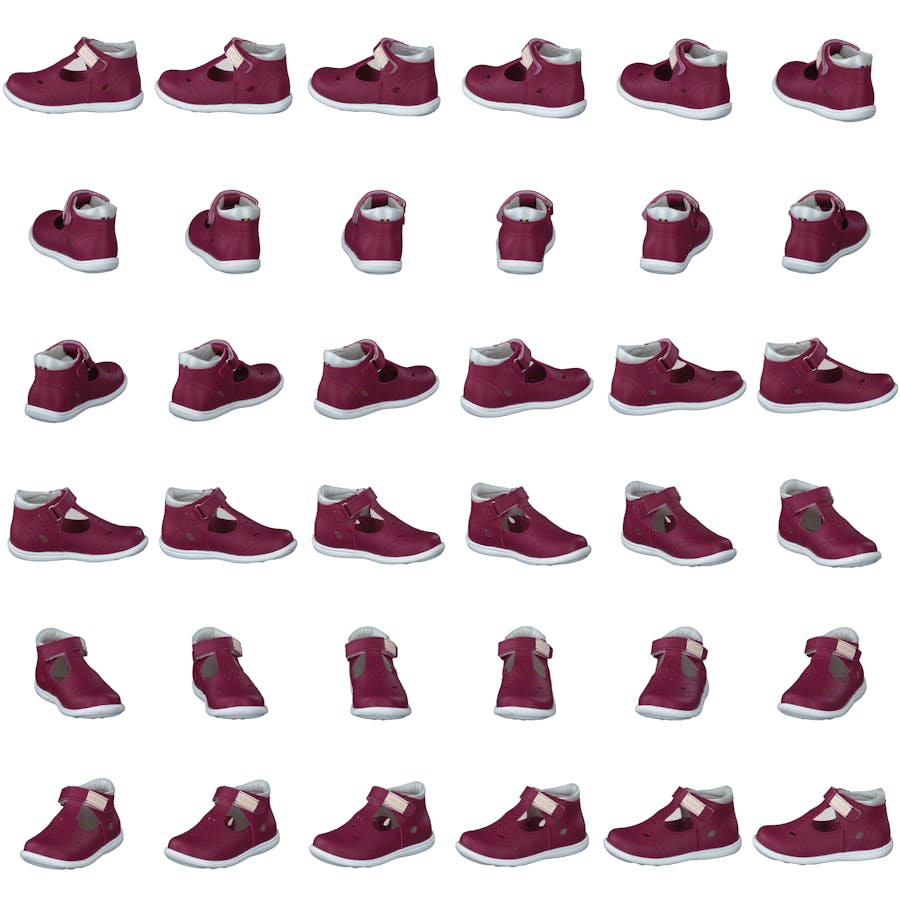 Ängskär Xc Peony - Bild 8