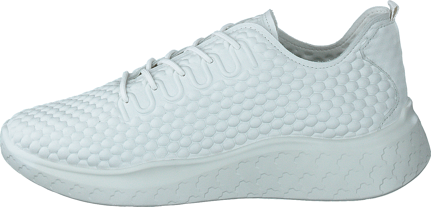Ecco Therap W White, Female, Skor, Sneakers, Sneakers, Blå, EU 41