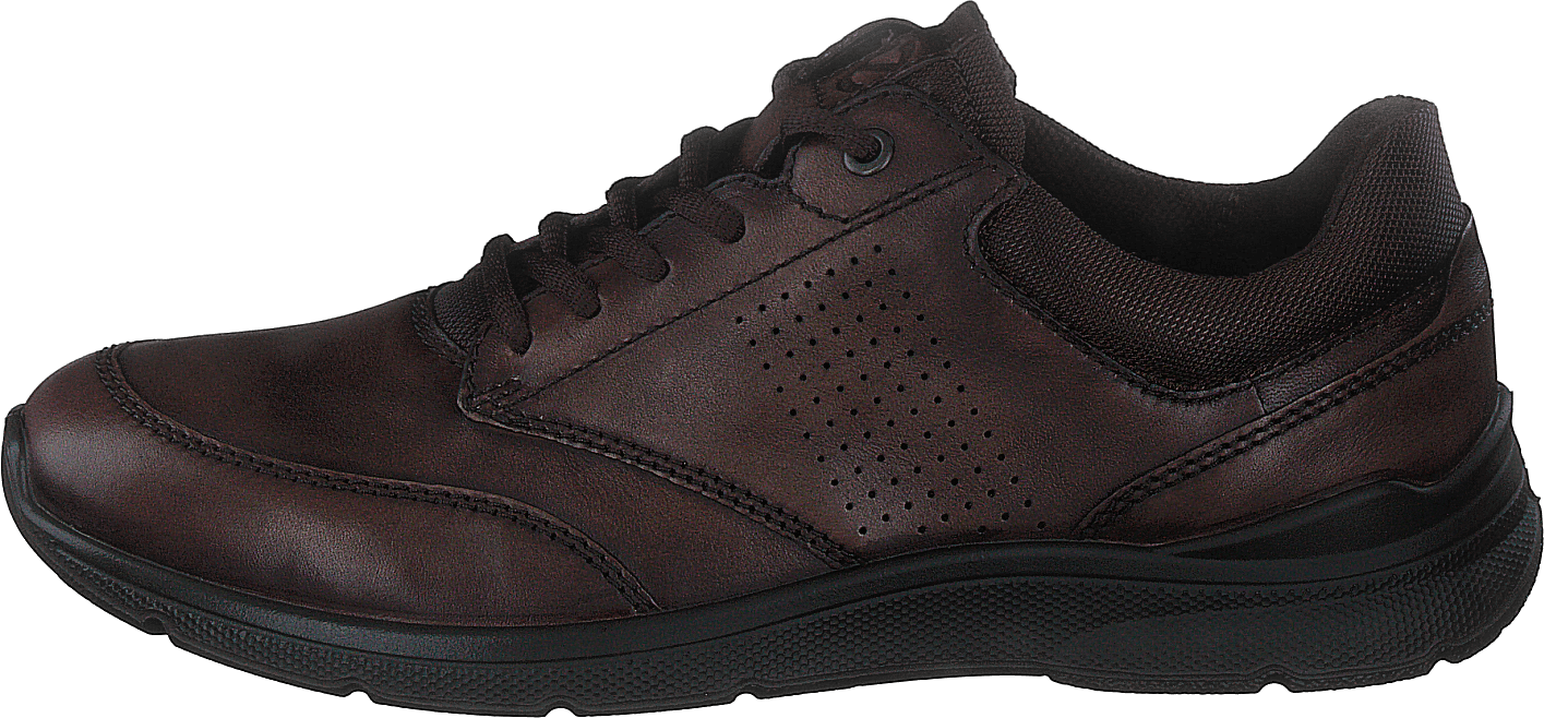 Ecco irving coffee new arrivals