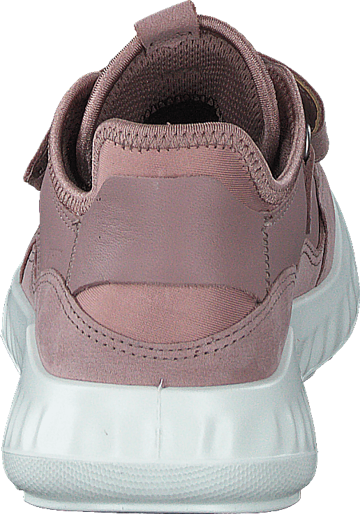Ecco woodrose clearance