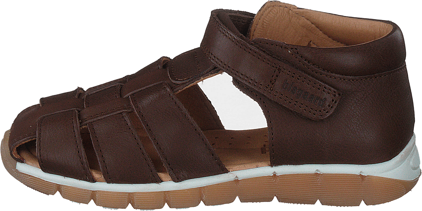 Bisgaard Billie Brown