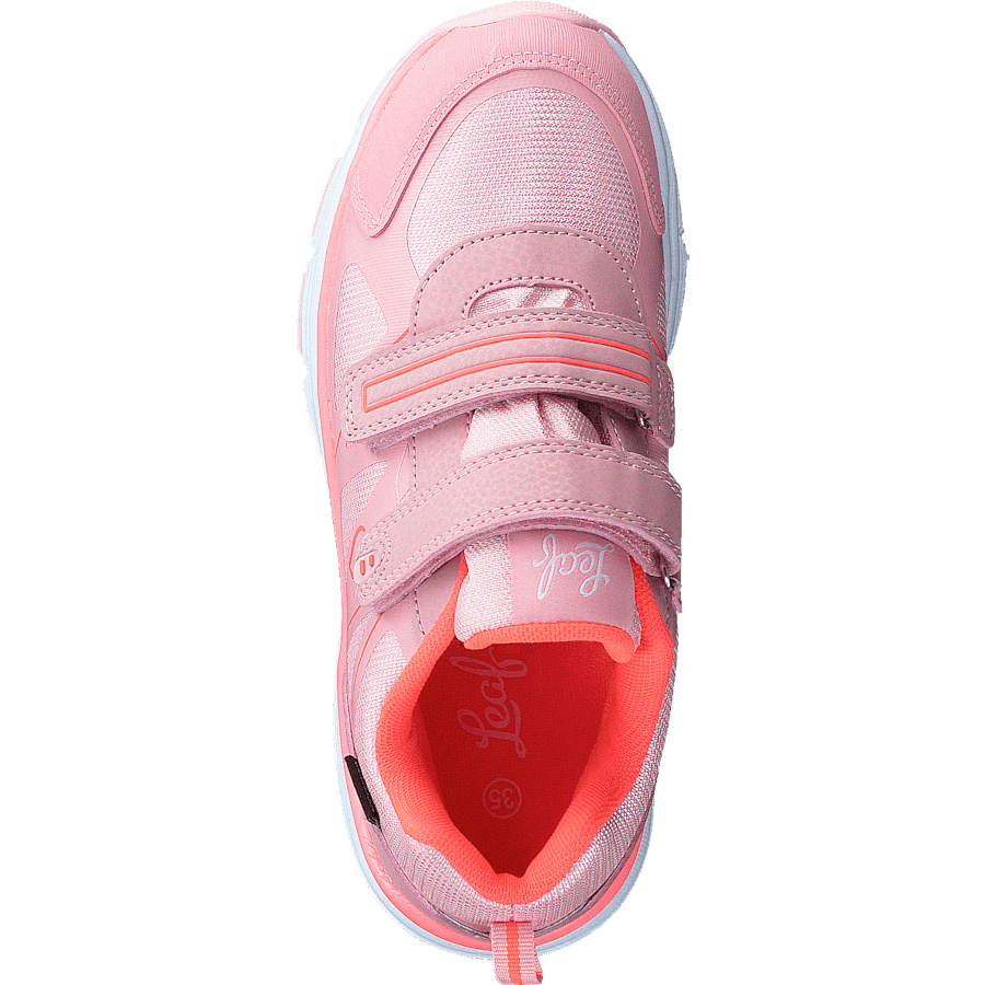 Hamar Coral - Bild 6