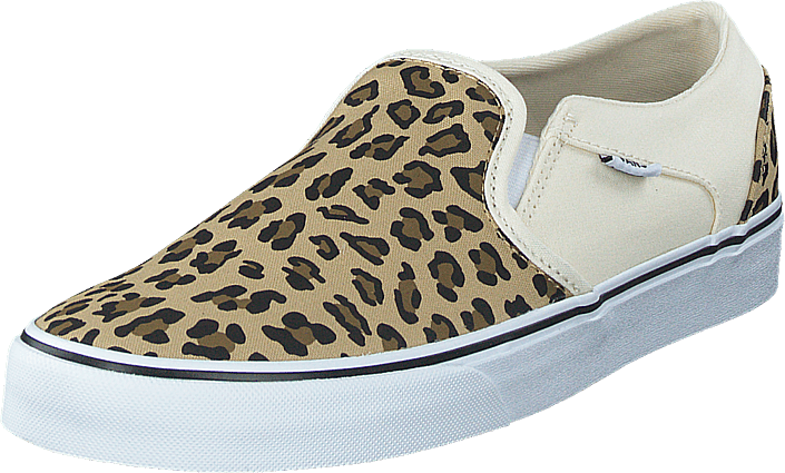 Wm Asher (leopard) Antique White/white 