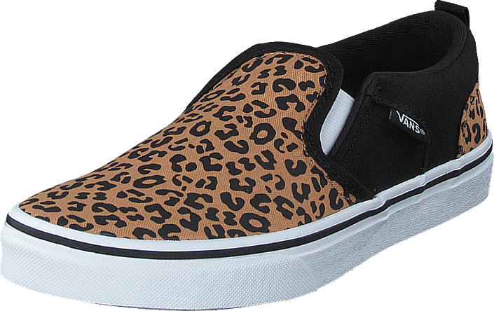cheetah vans asher