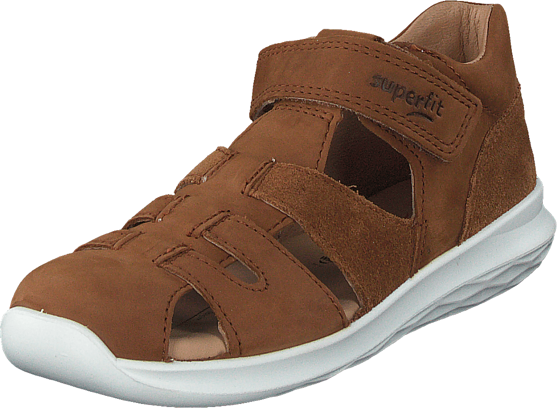 Bumblebee Brown - Bild 3