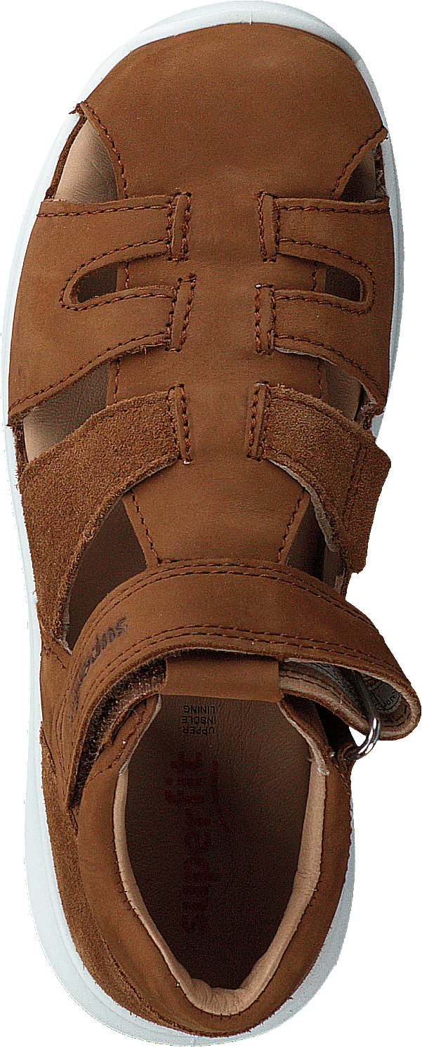 Bumblebee Brown - Bild 6