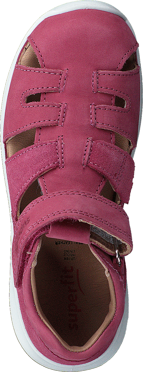 Bumblebee Pink - Bild 6