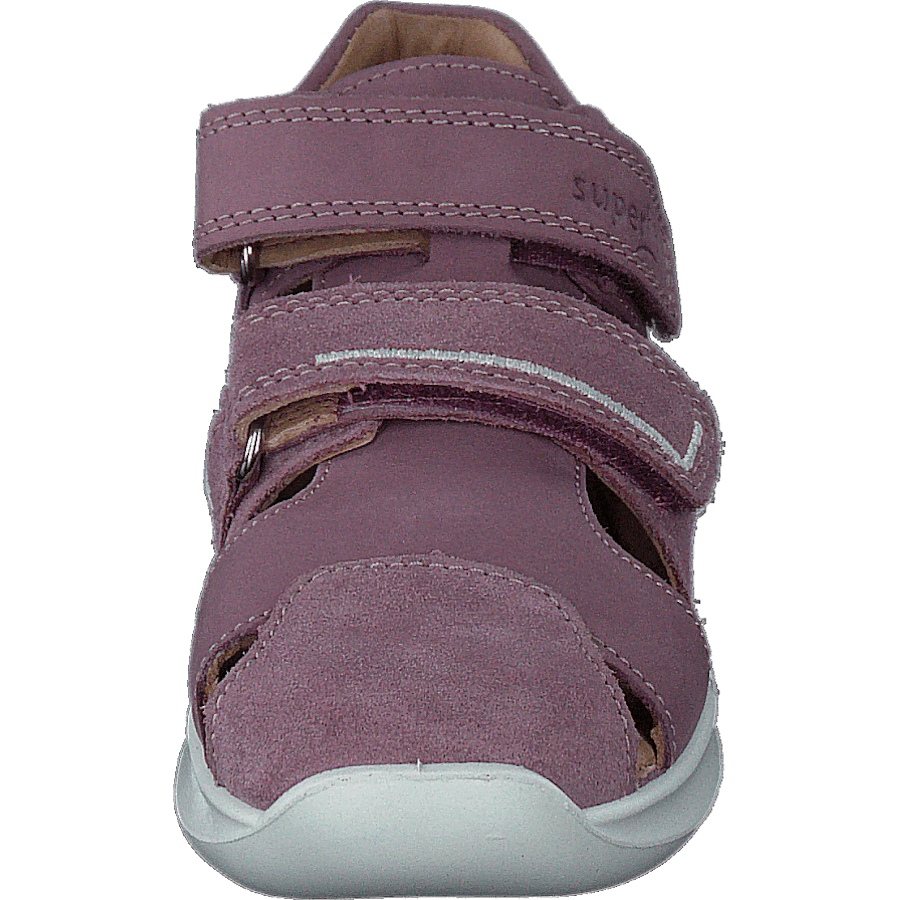 Bumblebee Purple - Bild 4