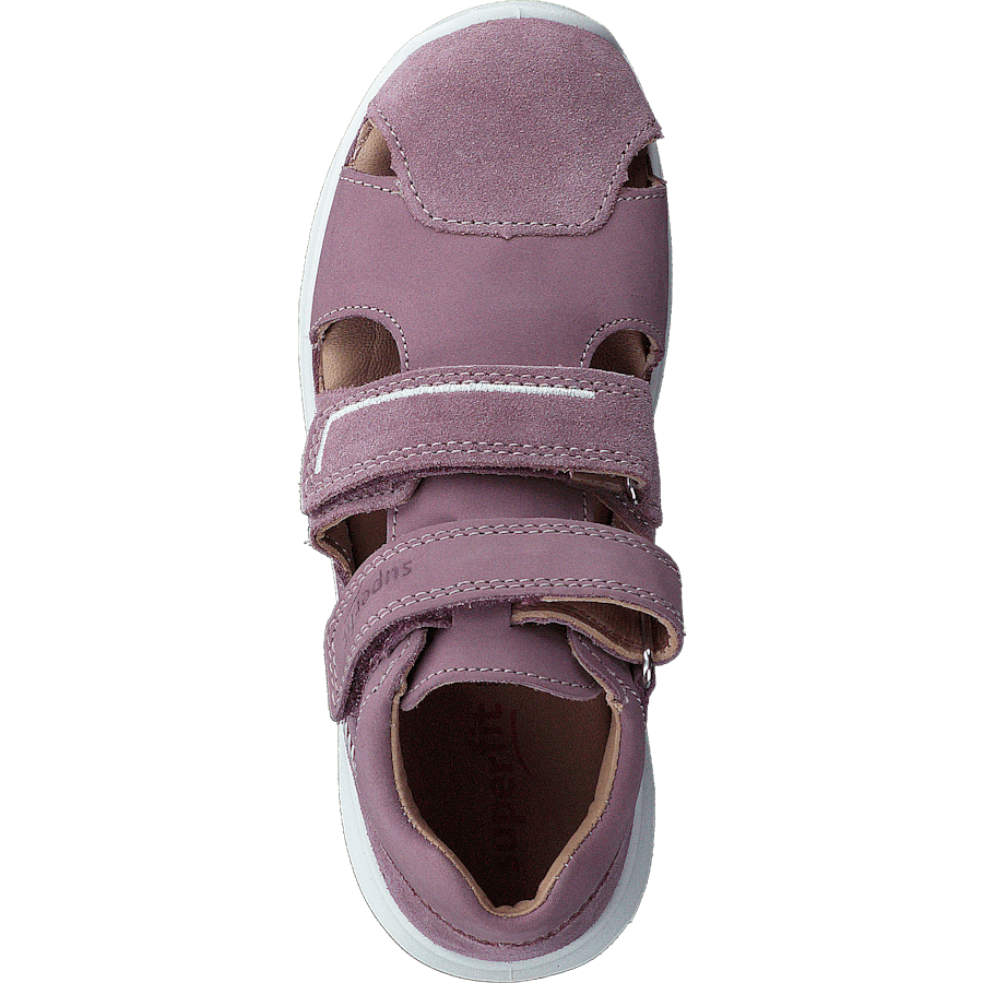 Bumblebee Purple - Bild 6