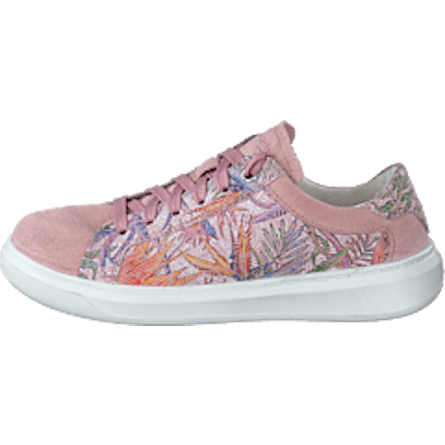 Cosmo Rose - Bild 10