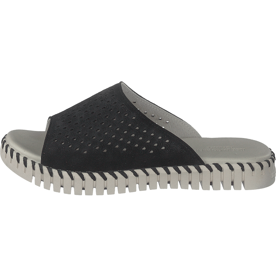 Tulip1375 Black