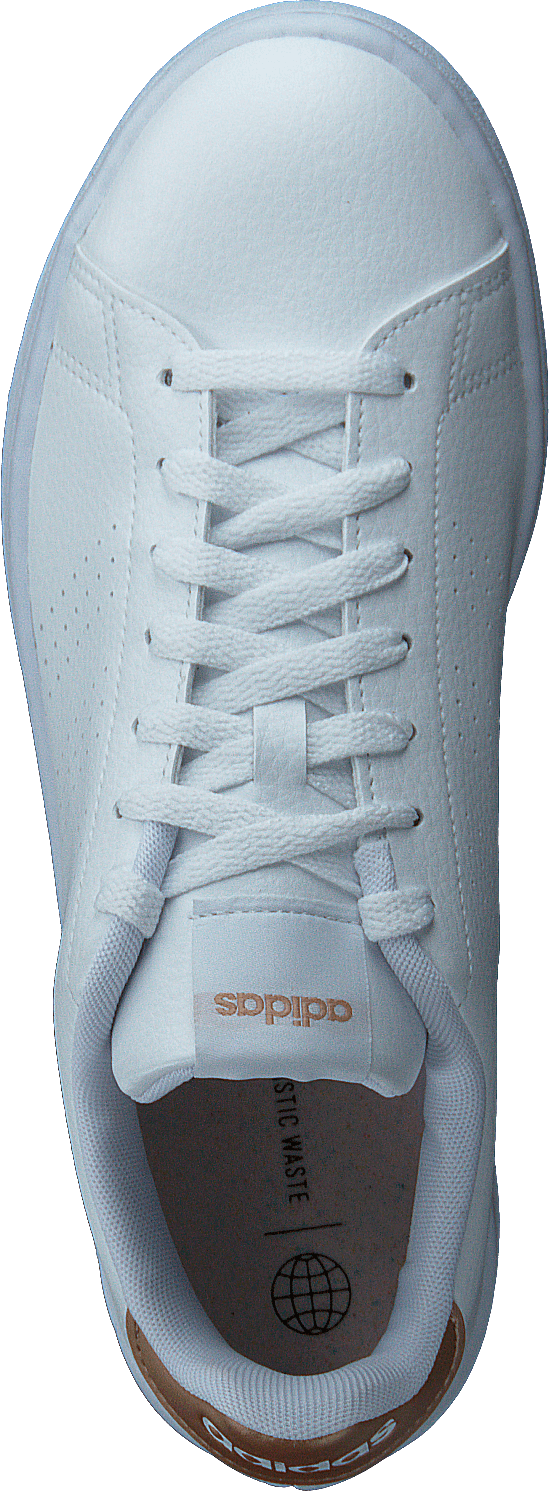 Advantage Shoes Cloud White / Cloud White / Copper Metallic - Bild 6