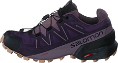 Speedcross 5 Gtx W Mysterioso/quail/sirocco - Bild 10