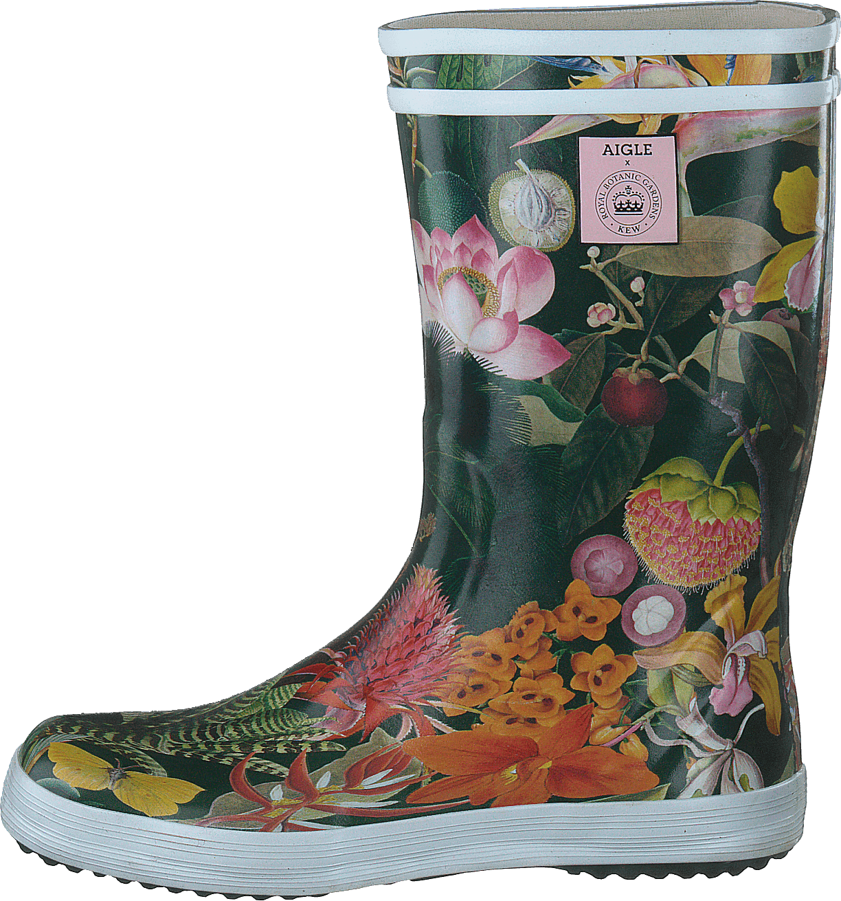 Ai Lolly Pop Kew Garden 2