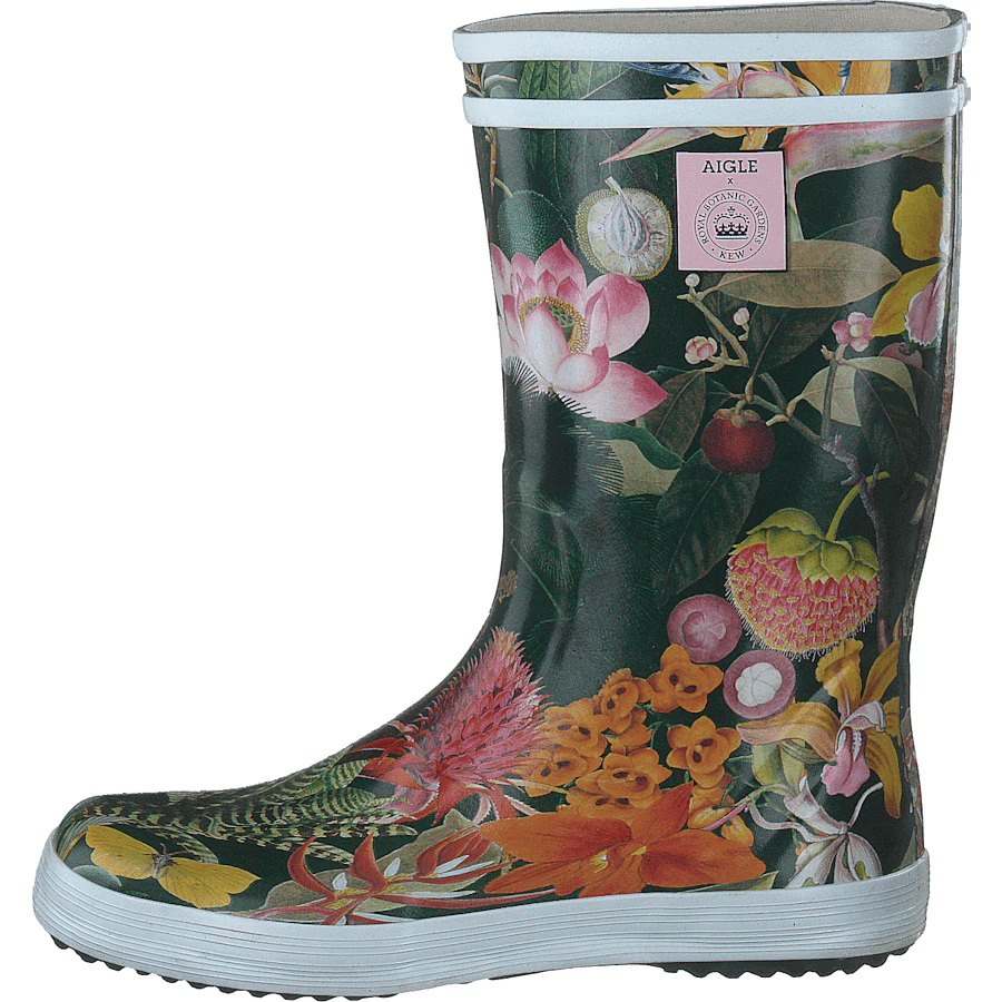 Ai Lolly Pop Kew Garden 2