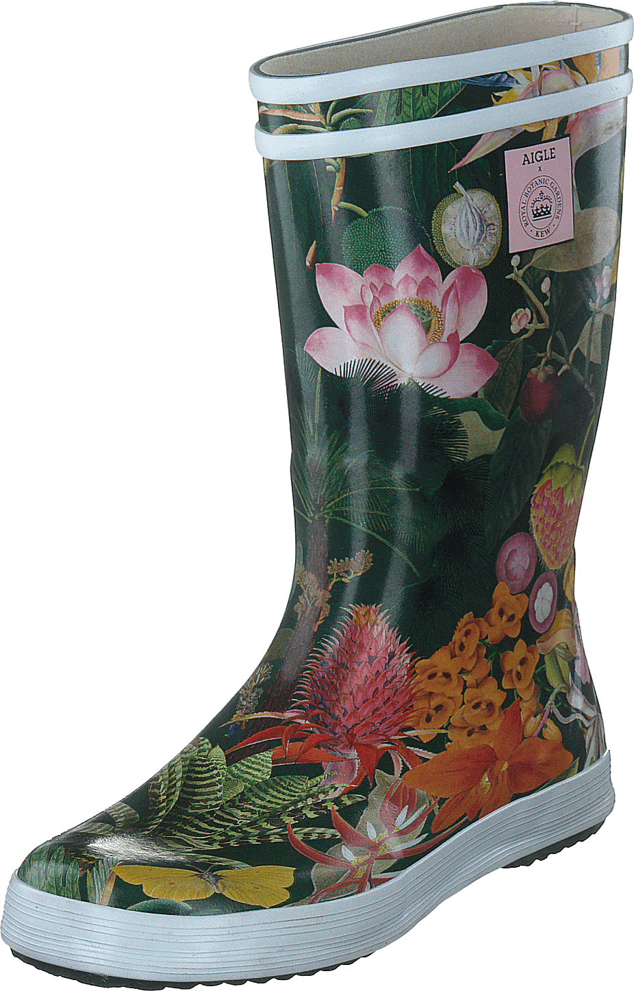 Ai Lolly Pop Kew Garden 2 - Bild 3