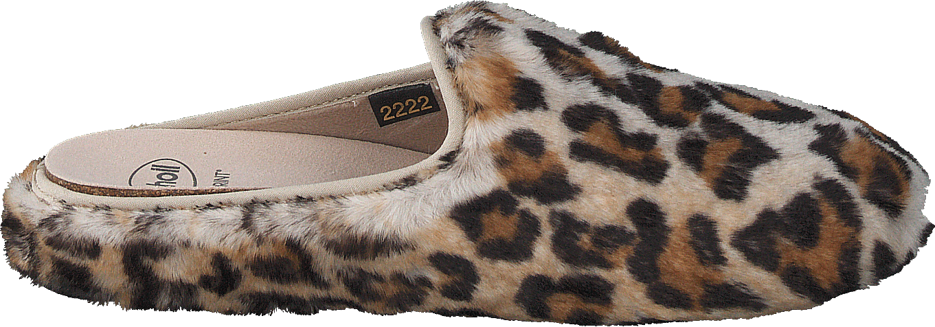 Maddy Leopard - Bild 2
