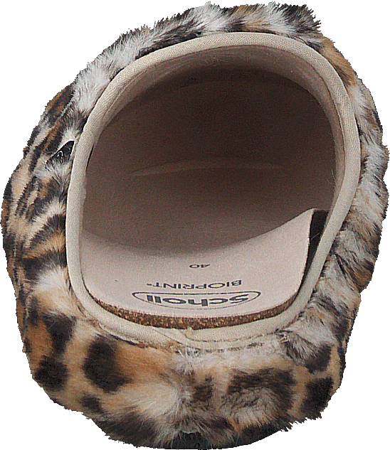 Maddy Leopard - Bild 5