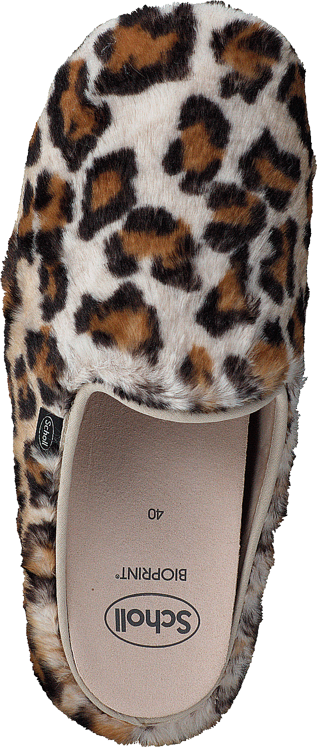 Maddy Leopard - Bild 6