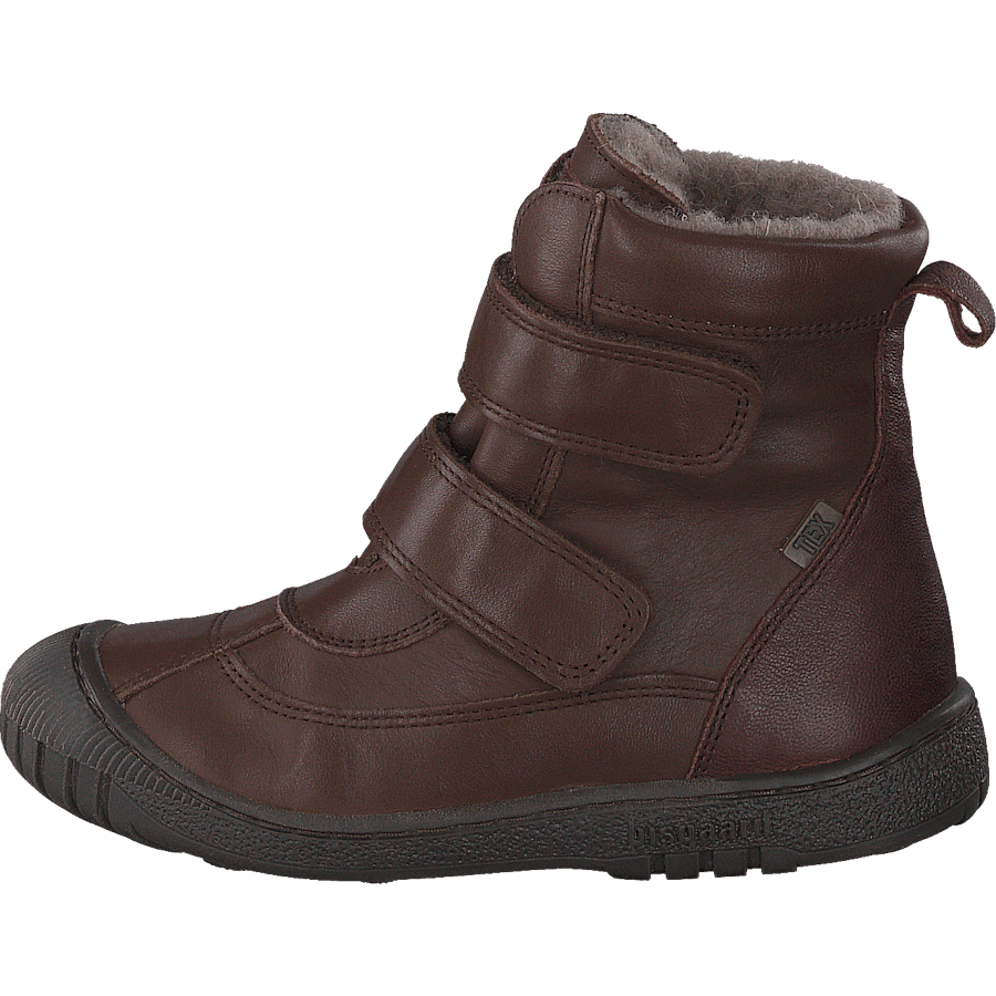 Bisgaard Ellis Brown