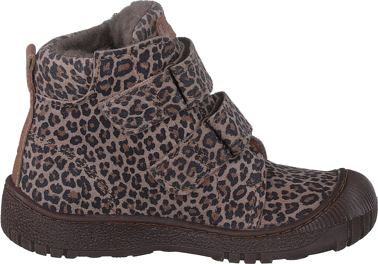 Bisgaard Evon Leopard - Bild 2