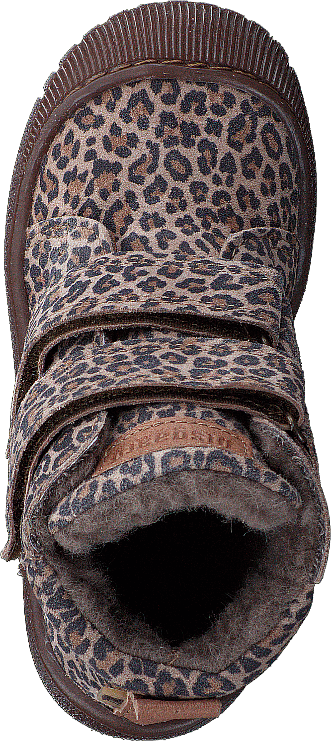 Bisgaard Evon Leopard - Bild 6