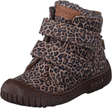 Bisgaard Evon Leopard - Bild 9