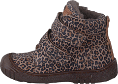 Bisgaard Evon Leopard - Bild 10