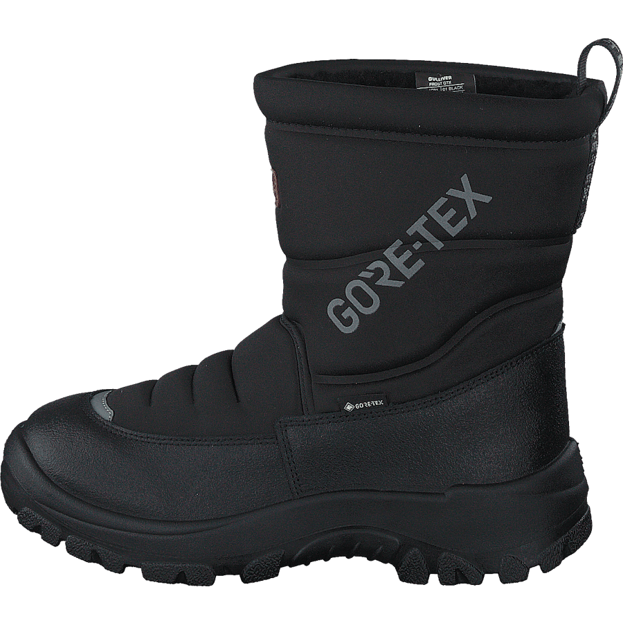 Frost Gtx Black