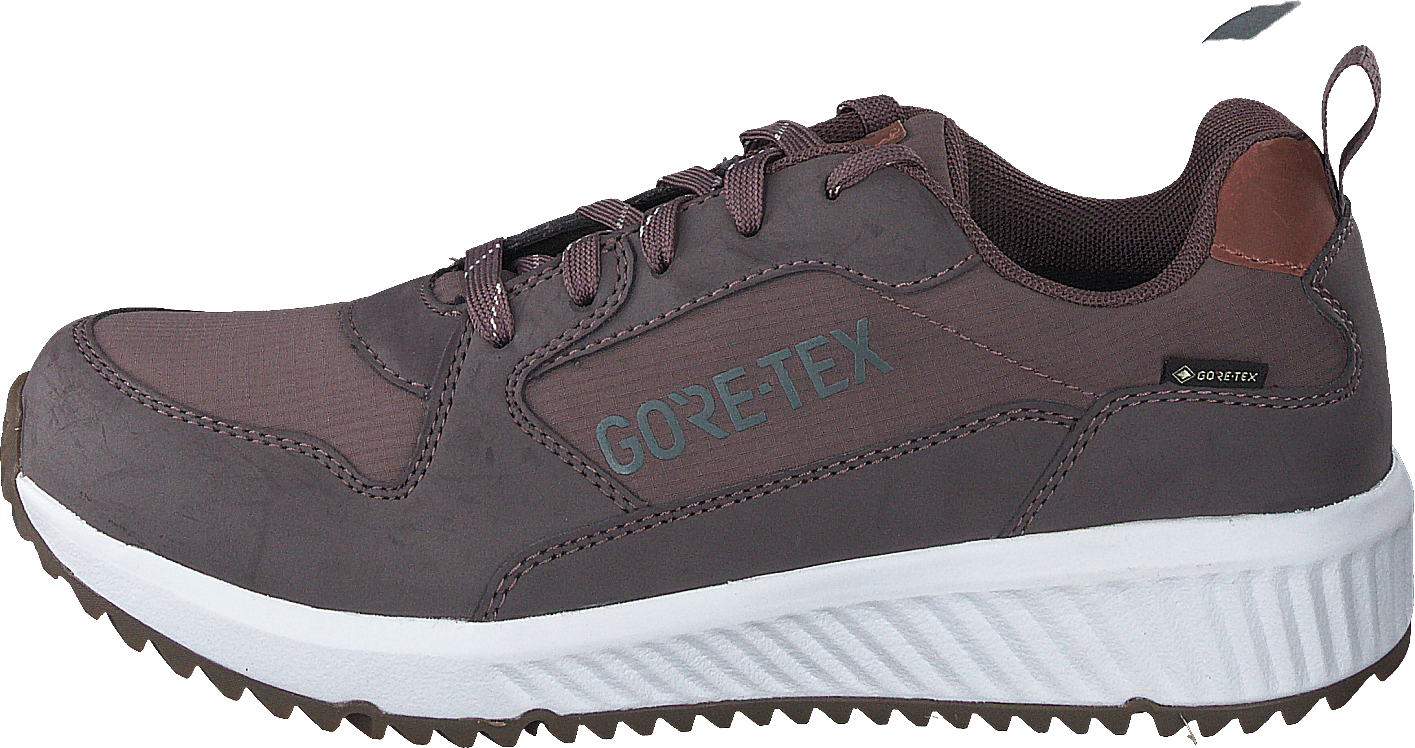 Arena Albertvil Gtx Lavender