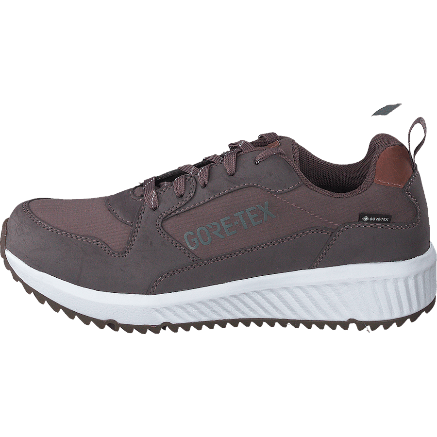 Arena Albertvil Gtx Lavender