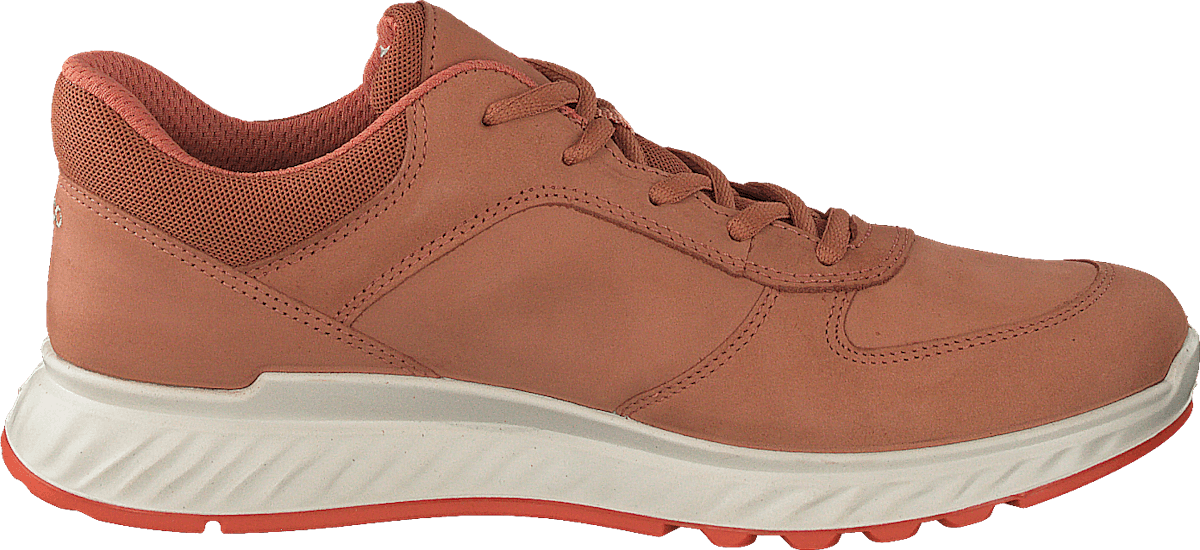Ecco Exostride W Sierra