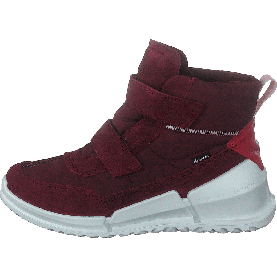 Ecco Biom K Morillo/morillo/chili Red