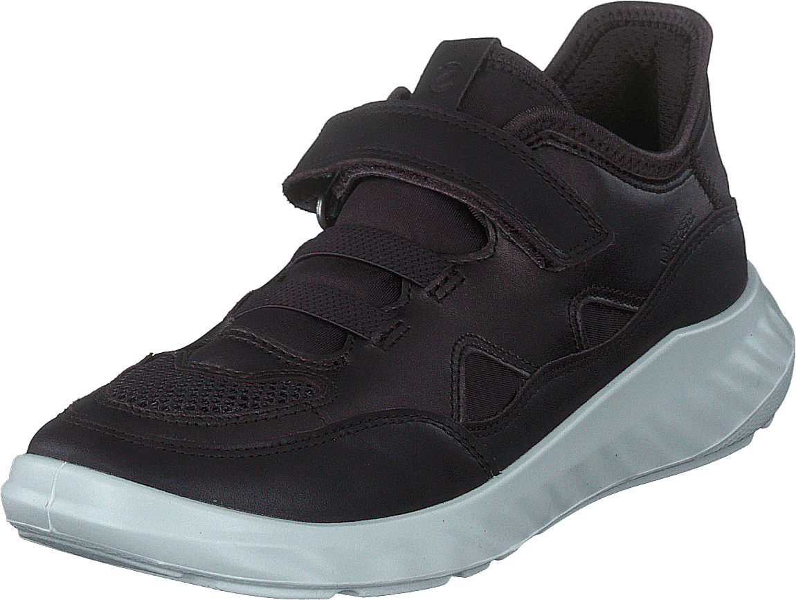 Ecco cool 3.0 online