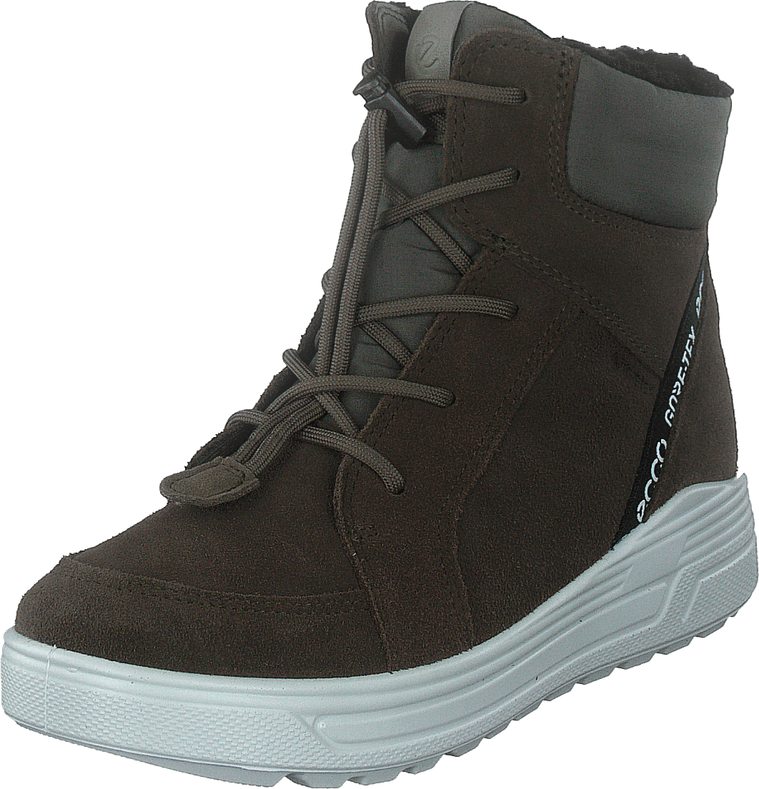 Ecco Urban Snowboarder Tarmac tarmac Shoes for every occasion Footway