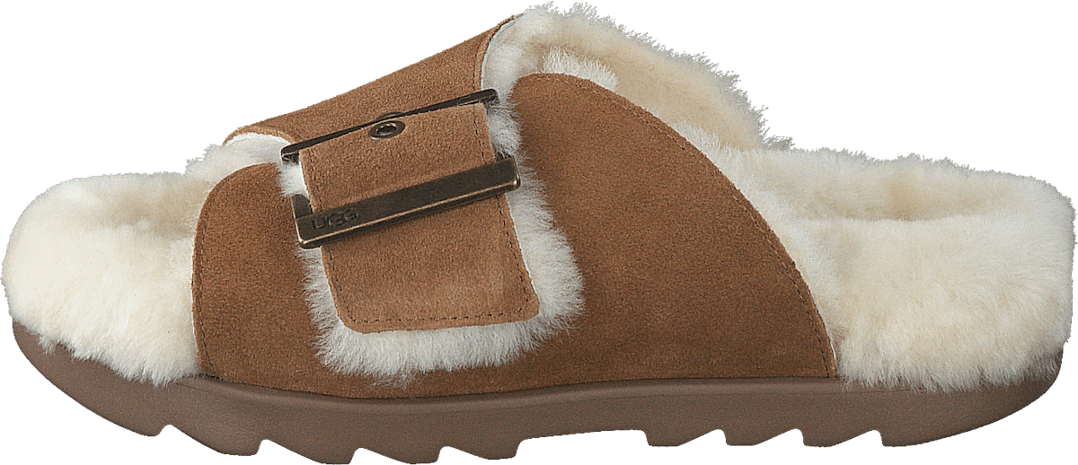 W Outslide Buckle Chestnut Suede