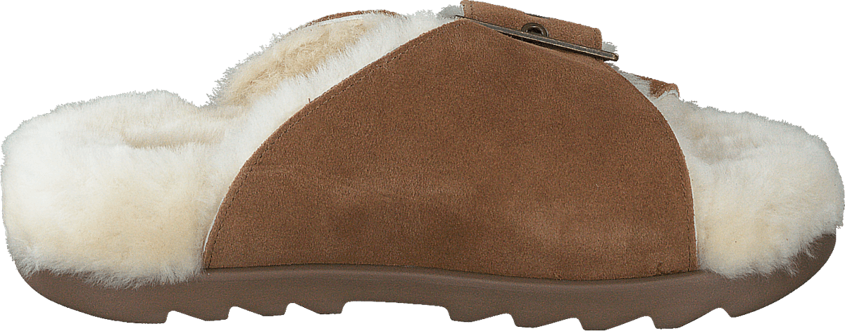 W Outslide Buckle Chestnut Suede