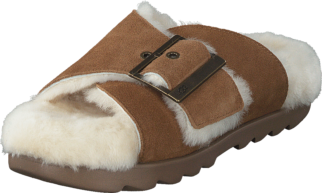 W Outslide Buckle Chestnut Suede - Bild 3