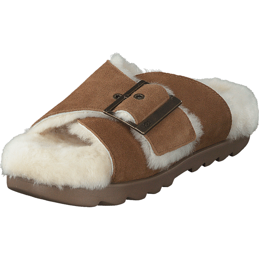 W Outslide Buckle Chestnut Suede - Bild 3