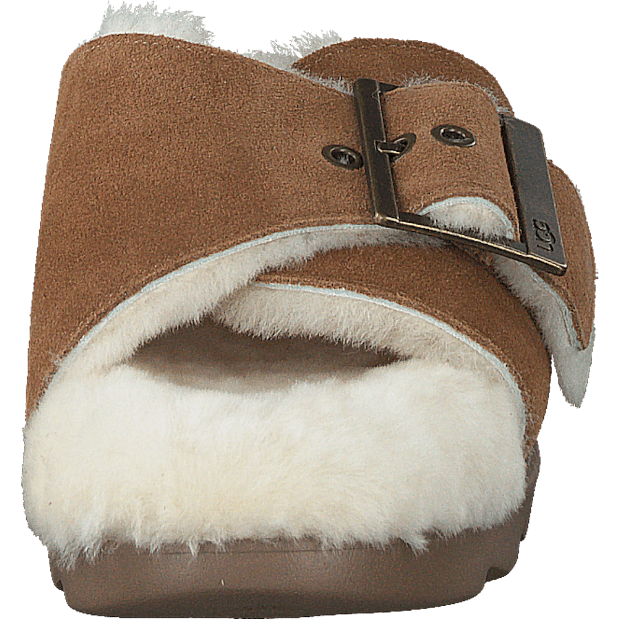 W Outslide Buckle Chestnut Suede - Bild 4